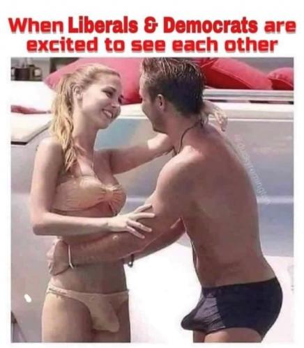 X Libs Dems