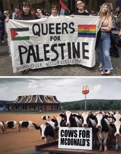 M cows for McDonald's