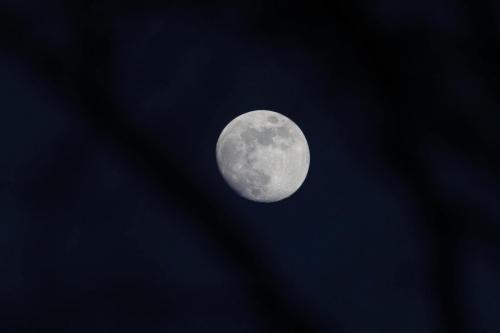 AR2_8537