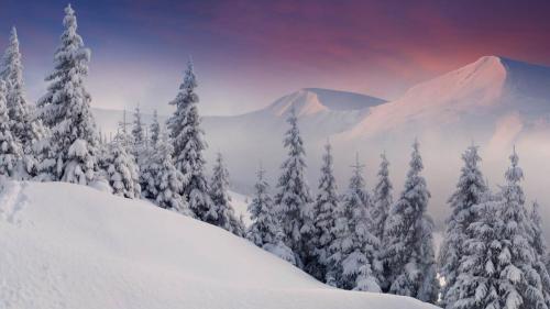 Colorful winter landscape in the mountains
