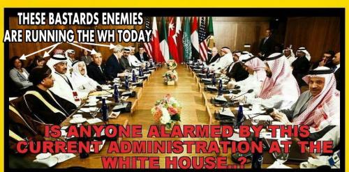 13686775_177460746005452_5797707THIS ADMIN006529484182_n