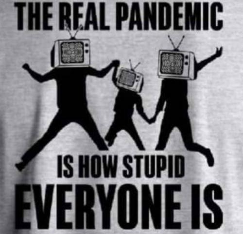 Screenshot_20231201-082109_YouTube