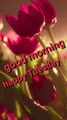 c8d860a41279fb66