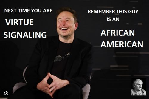 Elon Musk - AA