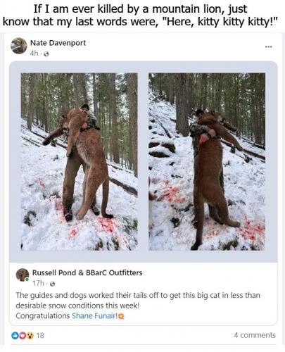 If I am ever killed by a mountain lion
