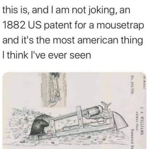 415446727_766439178862057_3402476007983042153_n