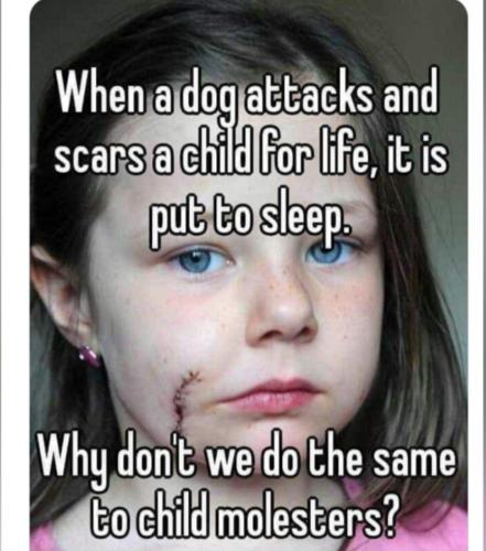 6f17a59ff0b8fdc287a1b4c0719c25e2