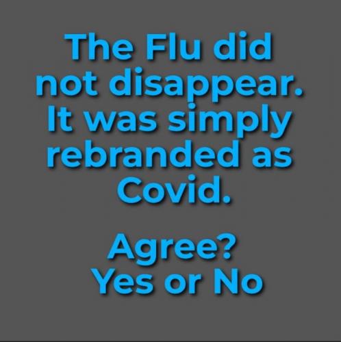 X Flu