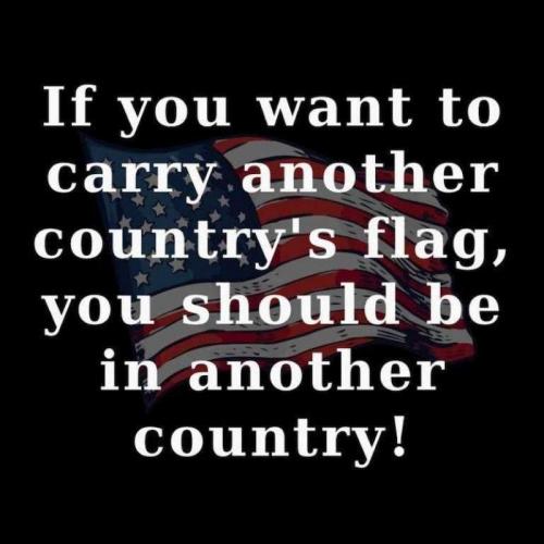 USA Flag
