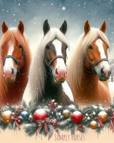 412271770_122131043360063097_196417796443436570_n