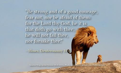 IMG_20231205_022359_858