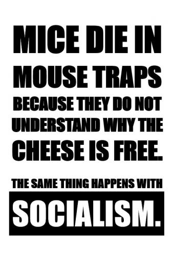 B Socialism
