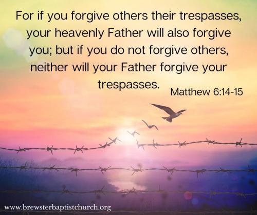 IMG_20231201_085206_719