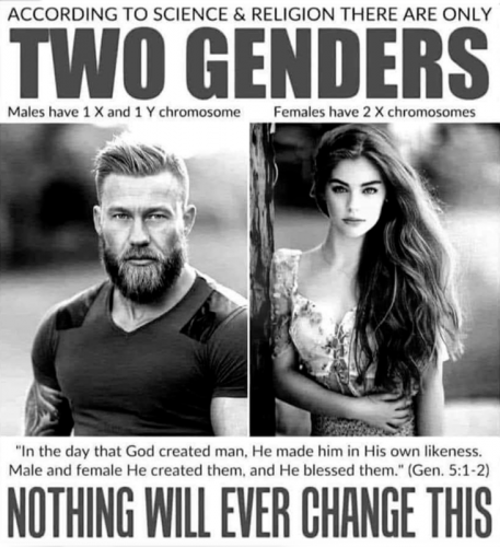 M two genders
