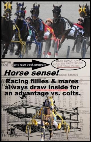 HORSE SENSE