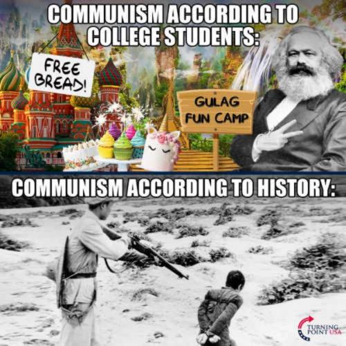 ba31b2418c8e44db15390512952ba940
