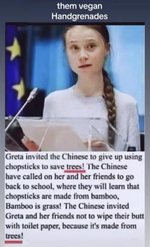 RO Greta invited Chinese