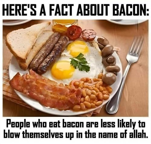 M Fact bacon