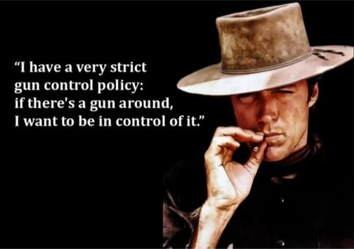 B gun control policy