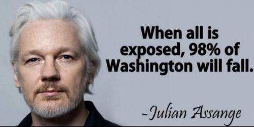 Assange Quote