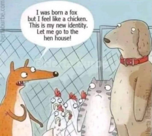 Screenshot_20231227-095341~2