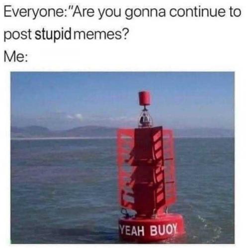 USA post memes