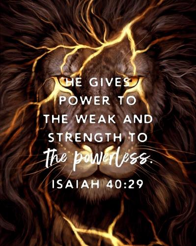 IMG_20231229_083853_904