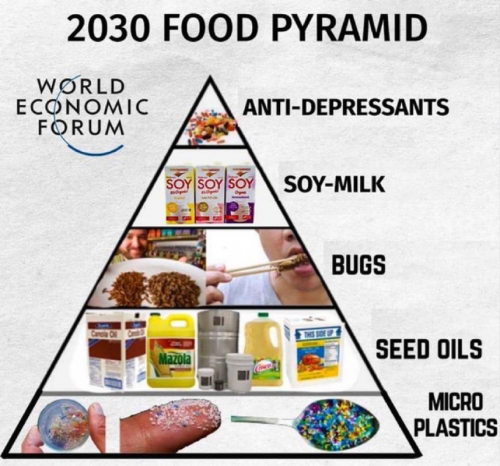 M food pyramid