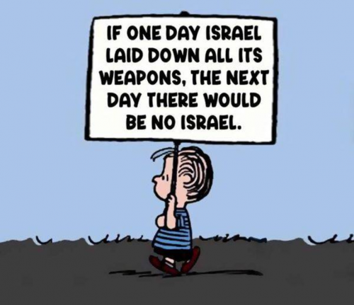 M Israel guns