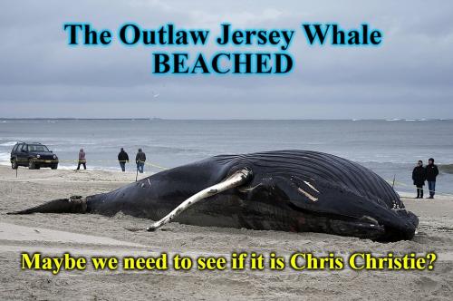 Outlaw Jersey Whale BEACHED960px