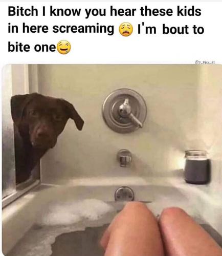 FB_IMG_1703008435398