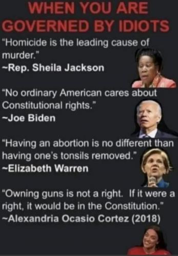 Gov by idiots