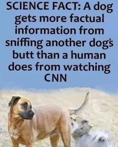 CNN facts