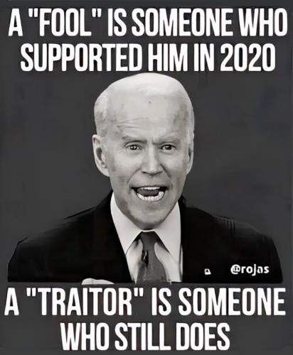 X fool traitor