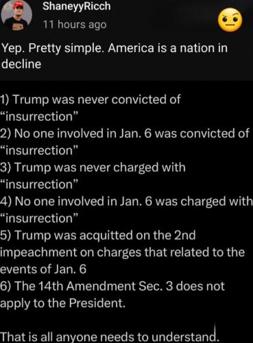 TRUMP INSURRECTION