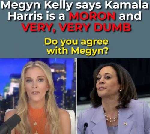 X Megan Kelly