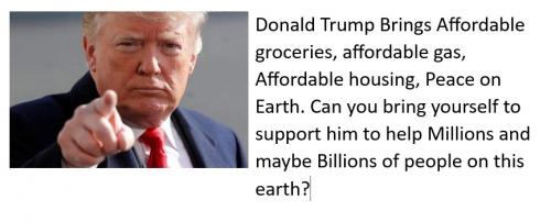 Donald Trump What he brings