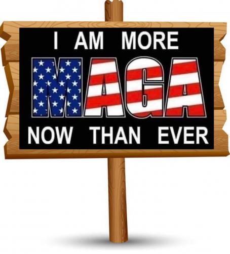 sign 350