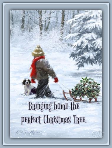 399200541_740220374822077_4079414949284496796_n