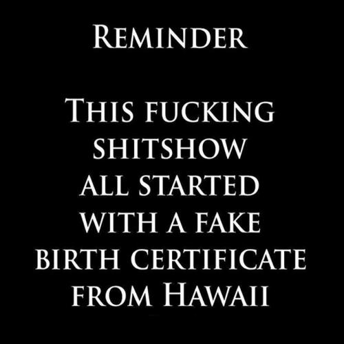 X shit show