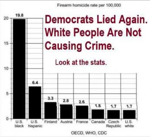 USA Dems lied