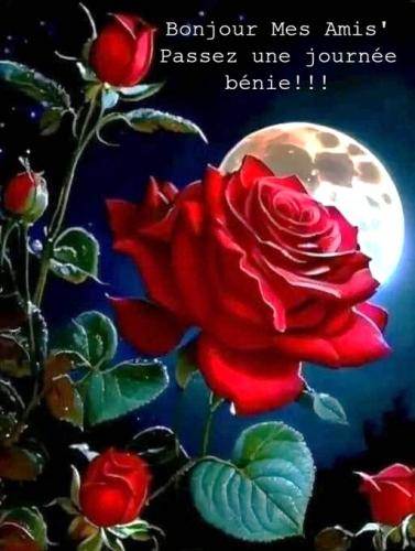 120723 - Red Roses - Moon