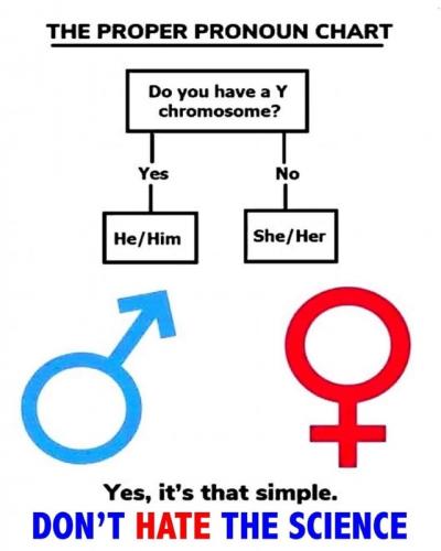 M don't hate  the science