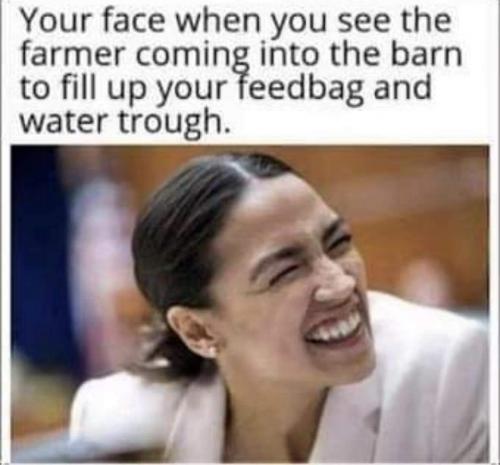 FB_IMG_1701556094232