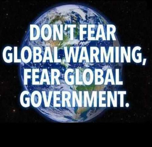 USA Fear global government