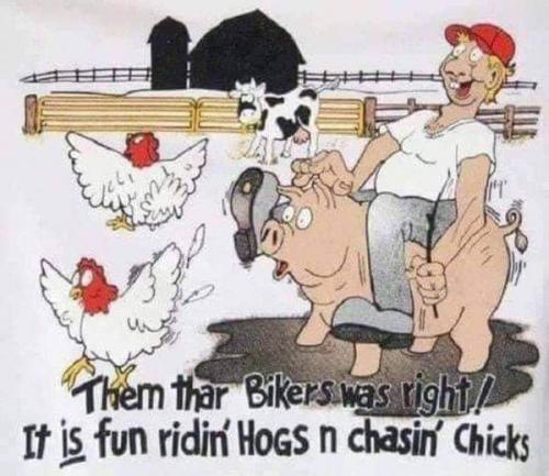 FB_IMG_1704037291977