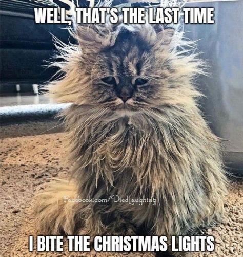 Well, that's the last time