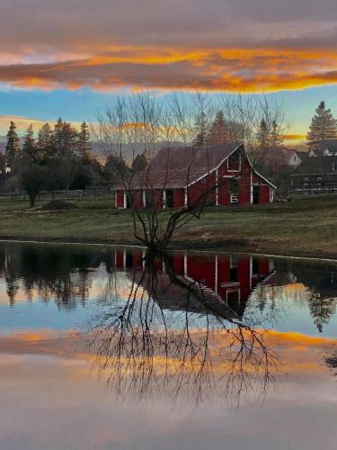 Barn - At pond in Washington