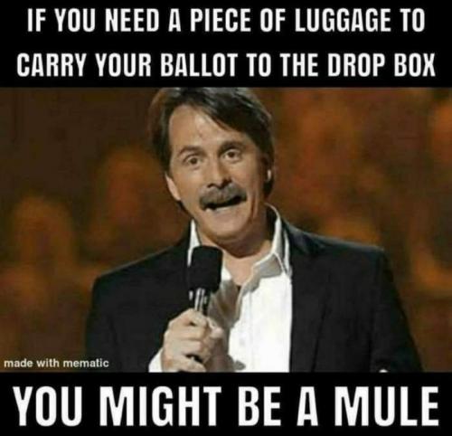 Jeff Foxworthy -- You may be a Mule