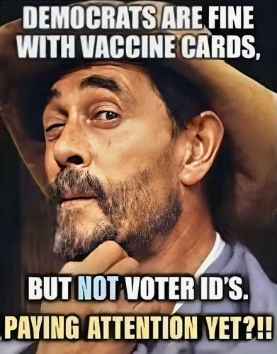 USA Voter cards